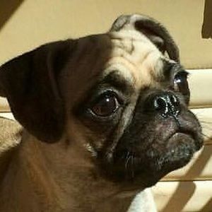 Meet your Posher, Miah